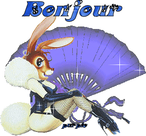 Gif animé bonjour